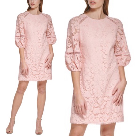Vince Camuto Petite
Lace Shift Blush Pink  Dress Size 6 Petite 6P - Picture 4 of 15